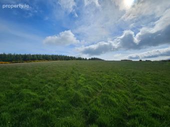 Slieveroe, Ballymore Eustace, Co. Kildare