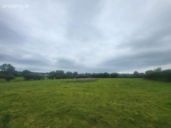 Kilamuck, Abbeyleix, Co. Laois