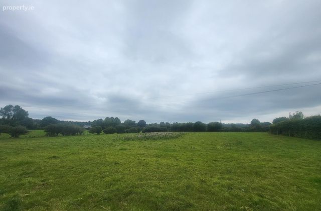 Kilamuck, Abbeyleix, Co. Laois - Click to view photos