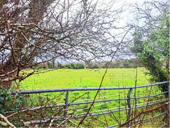 Laghtyshaughnessy, Gort, Co. Galway, Gort, Co. Galway - Image 5