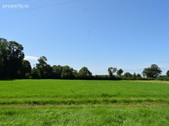 Kishikirk, Ballysimon, Co. Limerick - Image 5