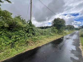 Approx, 4.77 Ha (11, 8 Acres), Ballincurry, Castlerea, Co. Roscommon, Crosswell, Co. Galway - Image 5