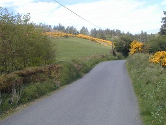 Site At Bealkelly Upper, Ogonnelloe, Killaloe, Co. Clare - Image 2