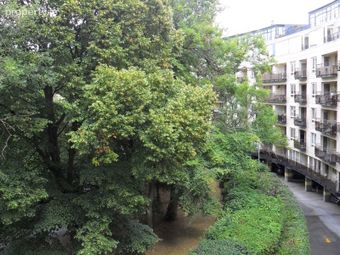 The Pines, Herbert Park Lane, Ballsbridge, Dublin 4 - Image 2