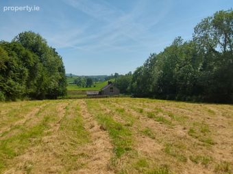 Clonegonnell Cavan H12n280, Cavan, Co. Cavan - Image 4