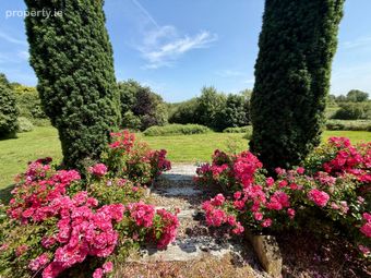 Annagh, Ballyhaunis, Ballyhaunis, Co. Mayo - Image 4