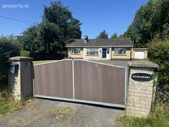 Kook A Burra, Rathbride, Pollardstown, Co. Kildare - Image 4