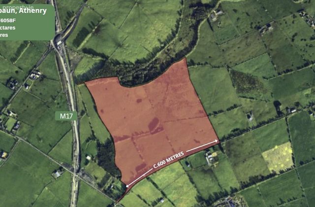 Moanbaun, Athenry, Co. Galway - Click to view photos