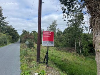 Forestry At Rosduff, Aughnacliffe, Co. Longford - Image 2