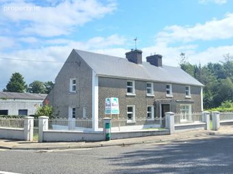 Ballingarry, Roscrea, Pike, Co. Tipperary - Image 4