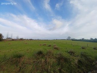 0.543 Acre / 0.22 Ha, Lehanagh, Mountbellew, Co. Galway, Mountbellew, Co. Galway - Image 2
