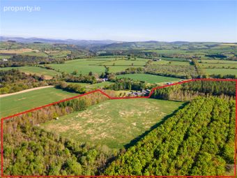 Land, Ballyarthur, Woodenbridge, Co. Wicklow, Woodenbridge, Co. Wicklow - Image 2