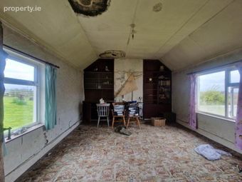 The Lane, Kildangan, Puckane, Nenagh, Co. Tipperary, Puckaun, Co. Tipperary - Image 2