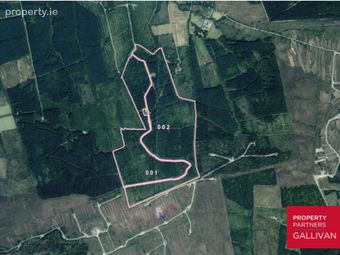 Forestry Land, Cappagh, Kilflynn, Co. Kerry, Kilflynn, Co. Kerry - Image 5