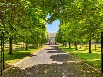 Mylerstown Park Stud, Mylerstown, Carbury, Co Kildare, Carbury, Co. Kildare - Image 4