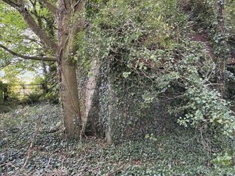 Knockainey Hill, Hospital, Co. Limerick, Hospital, Co. Limerick - Image 4