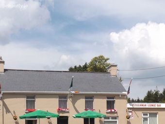 The Ploughman, Ballinagree, Ballynagree, Co. Cork - Image 3