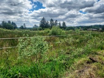 Glencollins Ballydesmond, Ballydesmond, Co. Cork - Image 4