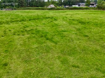 C.4.7 Acres At Trila Martin, Curraghroe, Co. Roscommon, Curraghroe, Co. Roscommon - Image 5