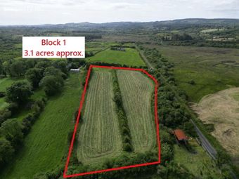 Knocks &amp; Tulleague, Killasser, Swinford, Co. Mayo, Swinford, Co. Mayo - Image 2