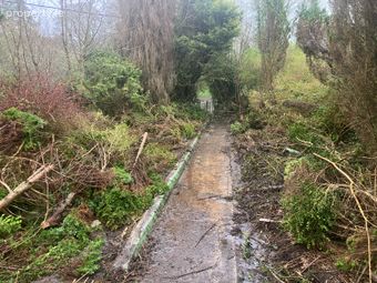 Newmarket Road, Ballydesmond, Co. Cork - Image 4