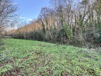 Kiltrea, Enniscorthy, Co. Wexford, Enniscorthy, Co. Wexford