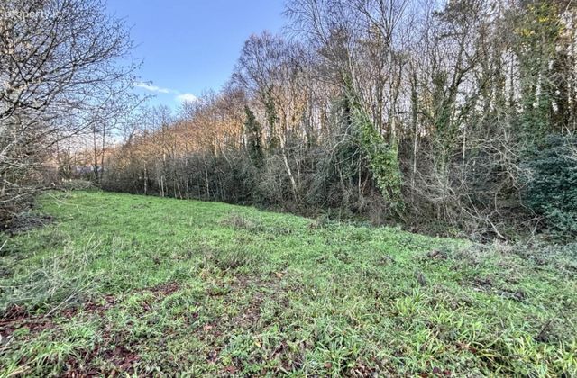 Kiltrea, Enniscorthy, Co. Wexford, Enniscorthy, Co. Wexford - Click to view photos