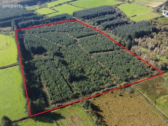Tureenduve, Ballydesmond, Co. Cork