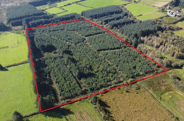 Tureenduve, Ballydesmond, Co. Cork - Click to view photos