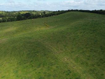 Cornalaragh, Doagh, Carrickmacross, Co. Monaghan, Carrickmacross, Co. Monaghan - Image 4