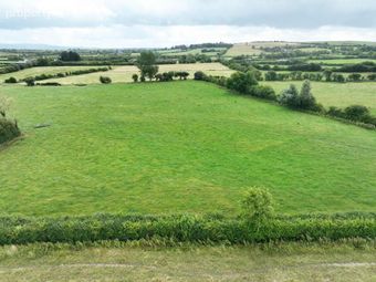 Cappanafaraha, Bruree, Co. Limerick, Bruree, Co. Limerick - Image 4