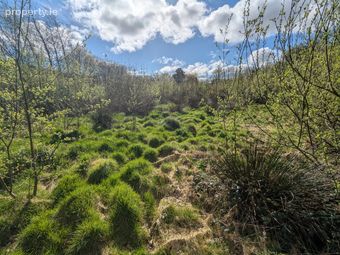 C.1.95 Acres Site, Carrigaline Industrial Estate, Carrigaline, Co. Cork, Carrigaline, Co. Cork - Image 3