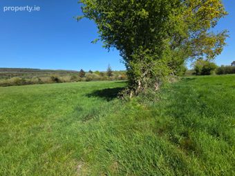 Clogheenafishoge, Ballylooby, Co. Tipperary - Image 4