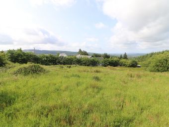 Cooleycasey, Sixmilebridge, Co. Clare - Image 4