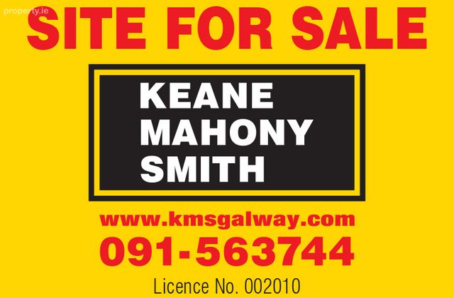 Coolarne, Turloughmore, Co. Galway - Click to view photos