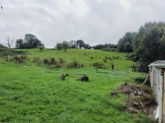 Lakeside Cottage Corrigeencor, Dromahair, Co. Leitrim - Image 5