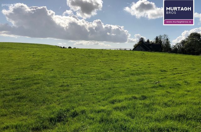 Moatfarrell, Edgeworthstown, Co. Longford - Click to view photos