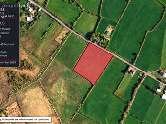 Lurgan, Caltra, Co. Galway - Image 4