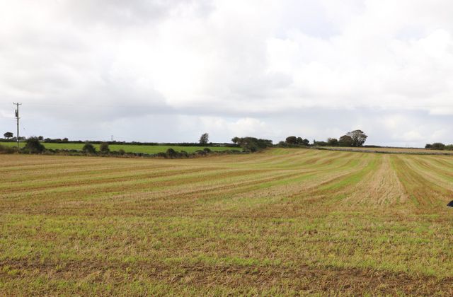 0.56 Acres, Shessy North, Kinvara, Co. Galway, Kinvara, Co. Galway - Click to view photos