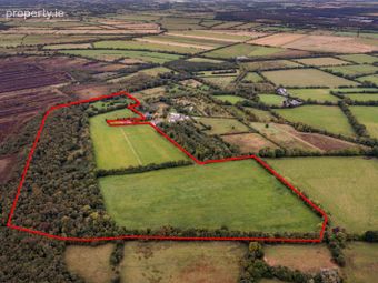 Derrylea, Monasterevin, Co. Kildare - Image 4