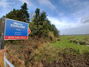 0.543 Acre / 0.22 Ha, Lehanagh, Mountbellew, Co. Galway, Mountbellew, Co. Galway - Image 3