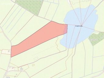 Approx, 4.77 Ha (11, 8 Acres), Ballincurry, Castlerea, Co. Roscommon, Crosswell, Co. Galway - Image 4
