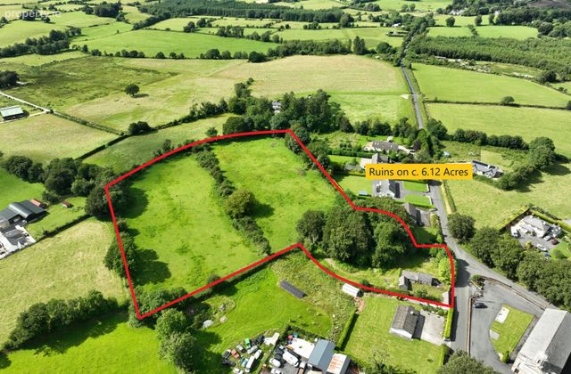 Ruins On C. 6.12 Acres / 2.48 Hectares, Killmoat Upper, Rathdangan, Co. Wicklow - Click to view photos