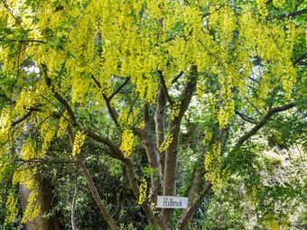 Hillbrook, Ballywaltrim Lane, Bray, Co. Wicklow, Bray, Co. Wicklow - Image 4