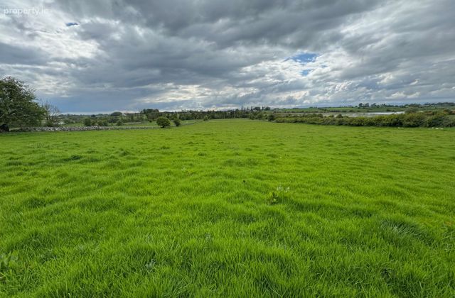 Annefield, Roundfort, Hollymount, Co. Mayo - Click to view photos