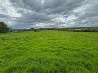 Annefield, Roundfort, Hollymount, Co. Mayo