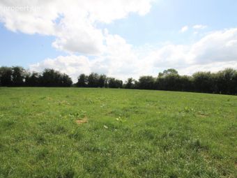 Cloughmartin, Thurles, Co. Tipperary - Image 2