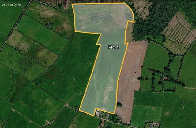 Grange Tullinadaly, Tuam, Co. Galway - Click to view photos