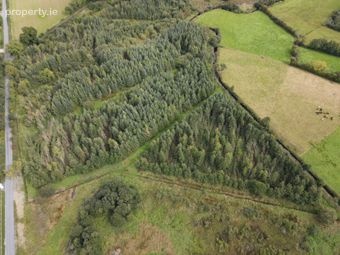 Forestry At Rosduff, Aughnacliffe, Co. Longford - Image 3