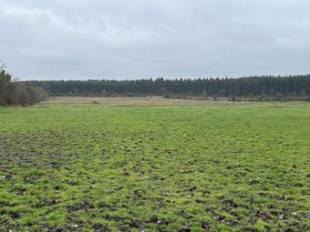 Ballymahon Ed , Ballymahon Municipal District , Co. Longford., Moydow, Co. Longford - Image 2